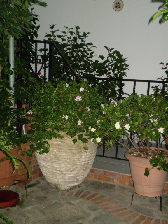 Studios Nopi-Zoi Skiathos Town Luaran gambar
