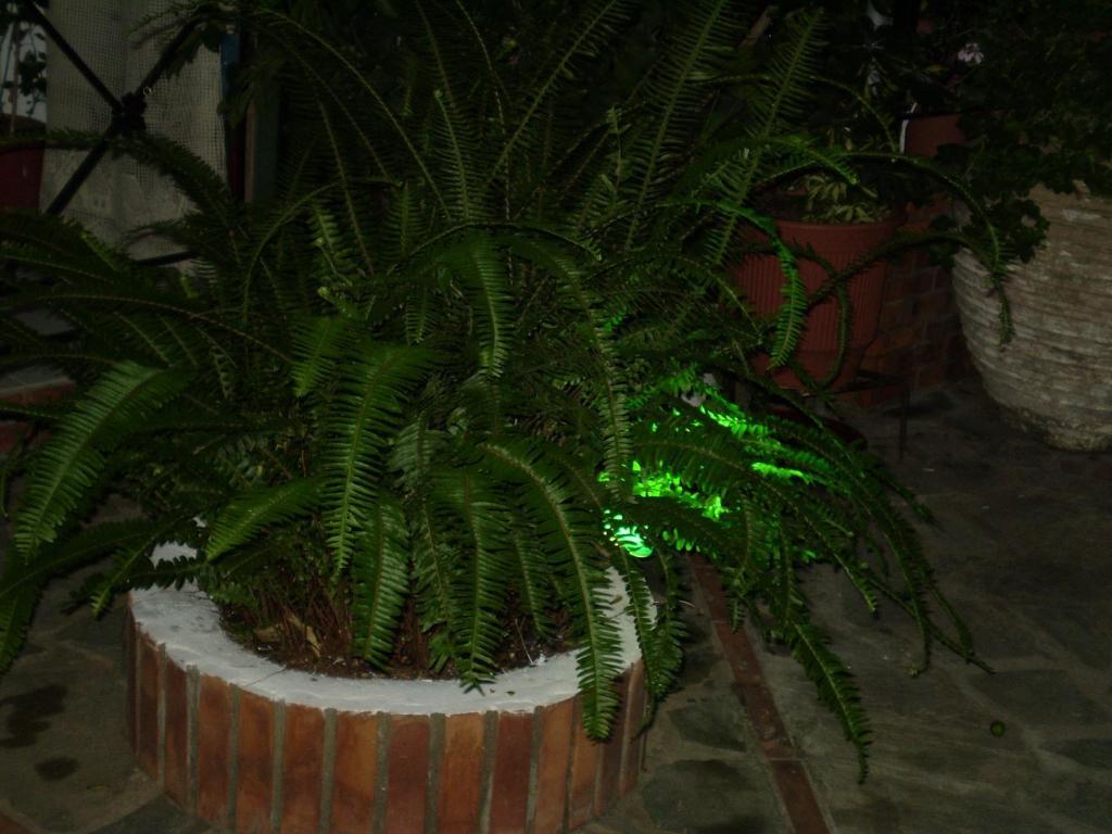 Studios Nopi-Zoi Skiathos Town Luaran gambar