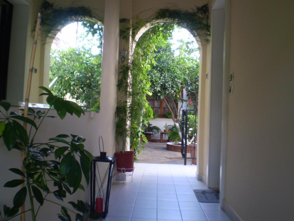 Studios Nopi-Zoi Skiathos Town Luaran gambar