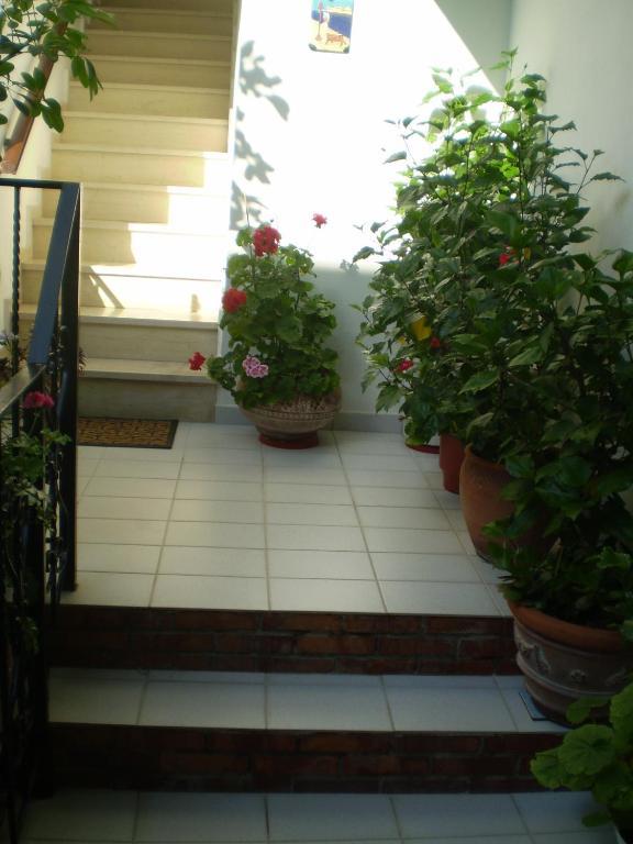 Studios Nopi-Zoi Skiathos Town Luaran gambar